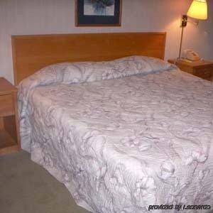 Princess Motel Мэривилл Номер фото